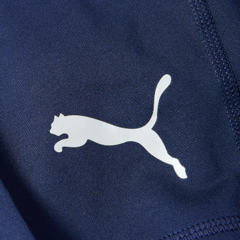 Spodenki męskie sportowe treningowe Puma rozmiar L